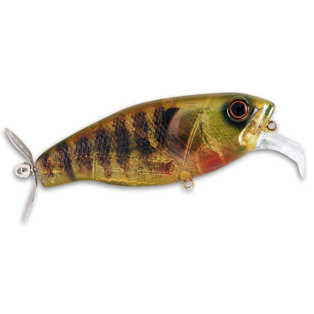 Real Blue Gill