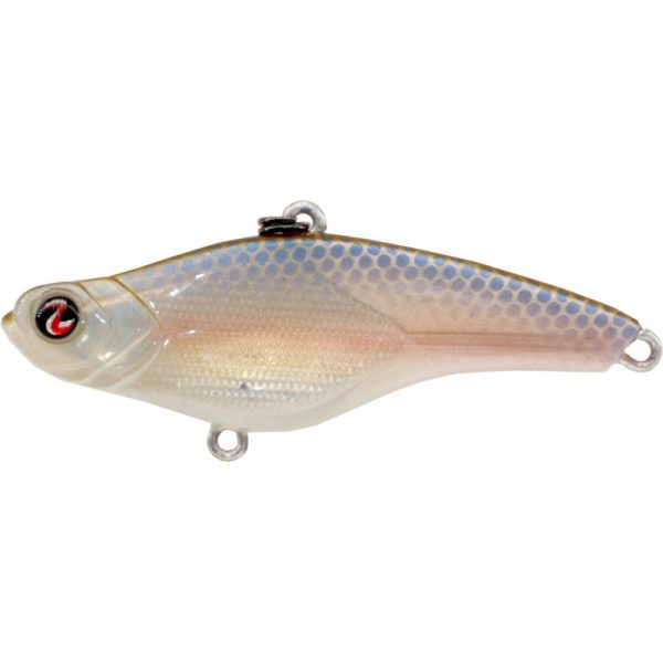 TS Minnow