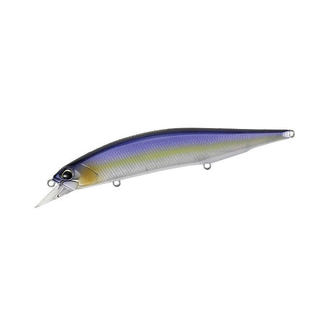 Threadfin Shad