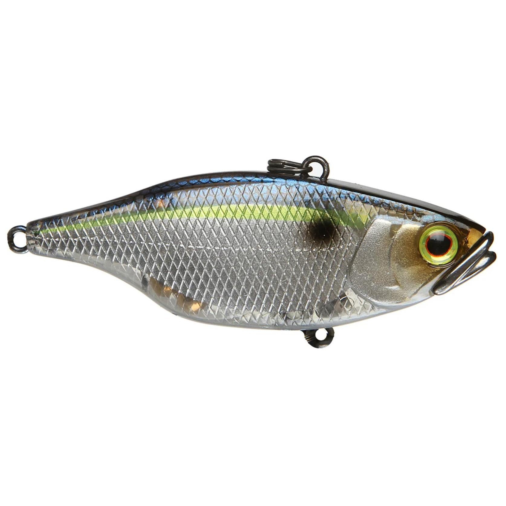 Threadfin Shad