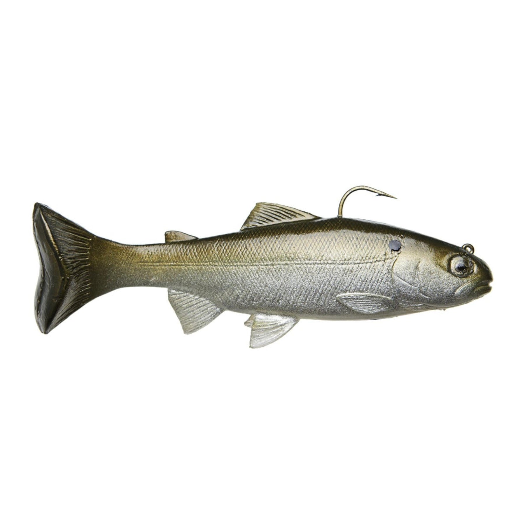 Green Gizzard Shad