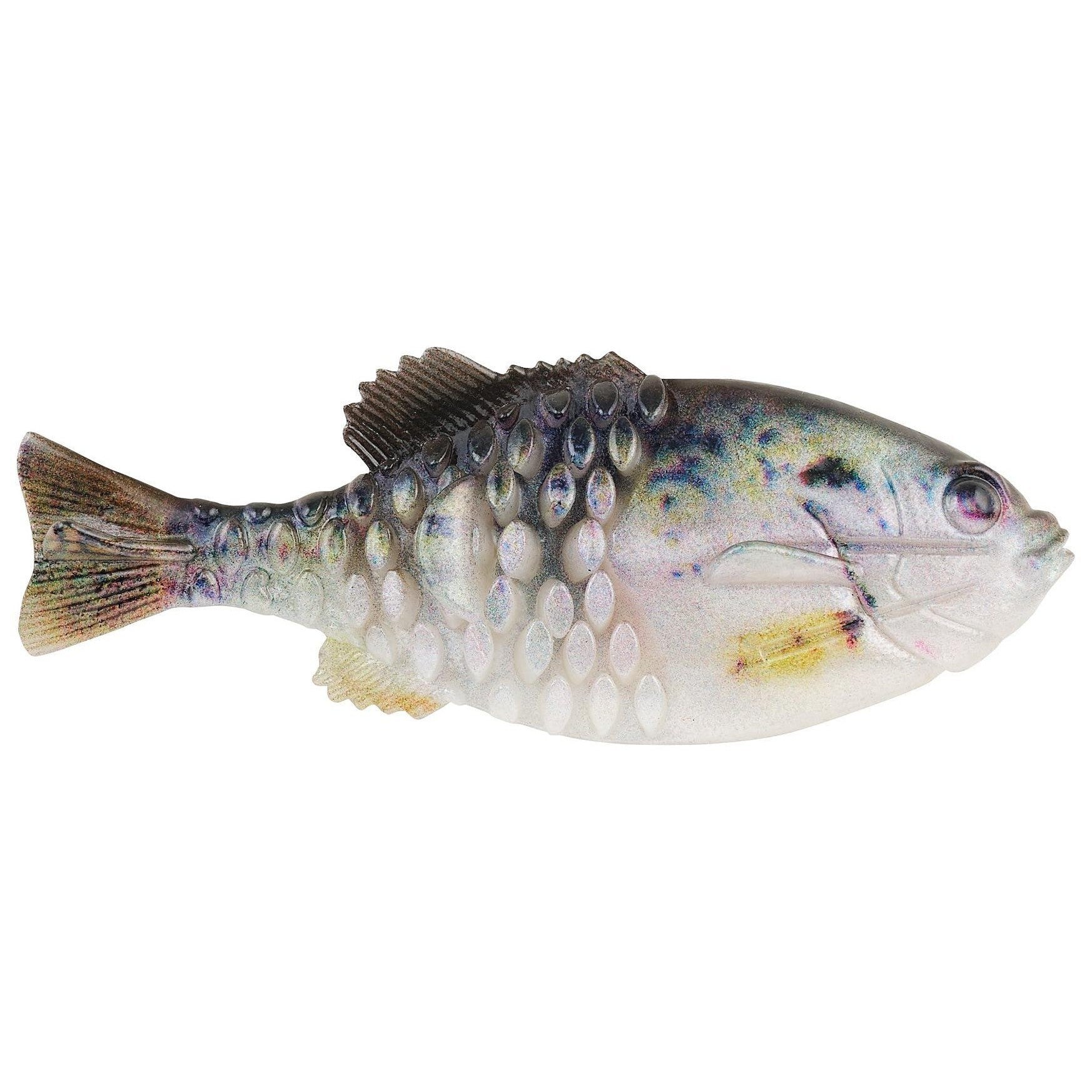 Crappie