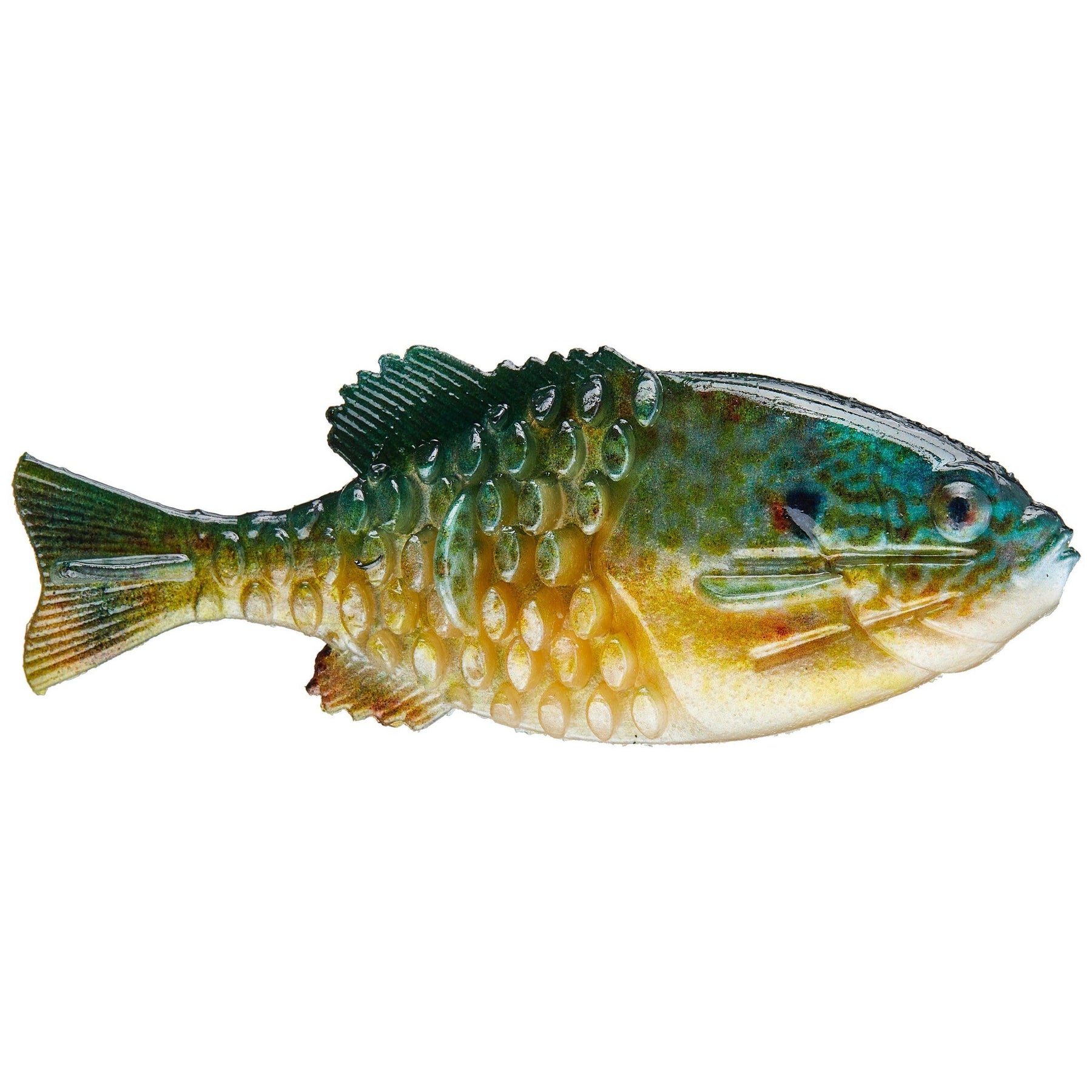 Hd Pumpkinseed