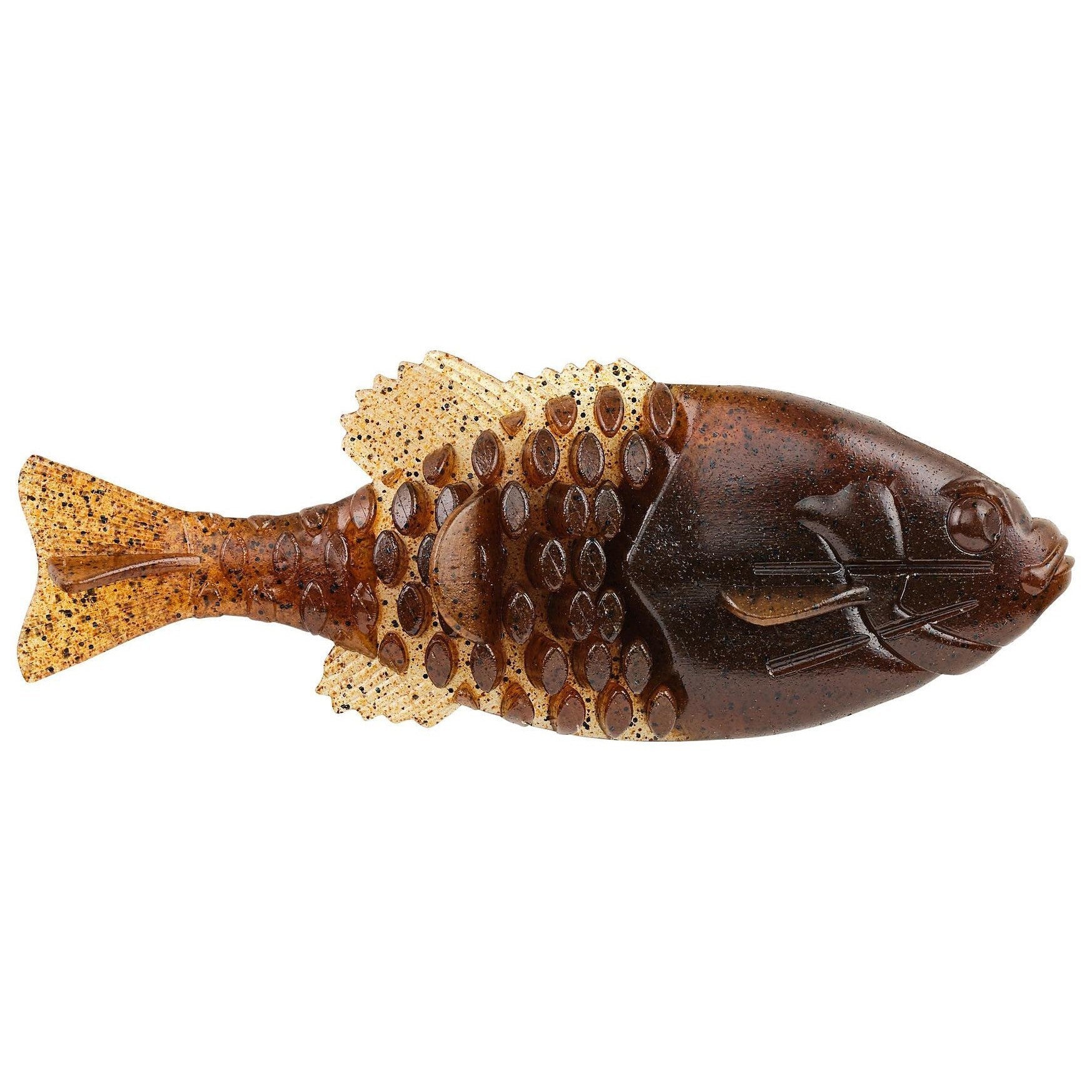 Pumpkinseed