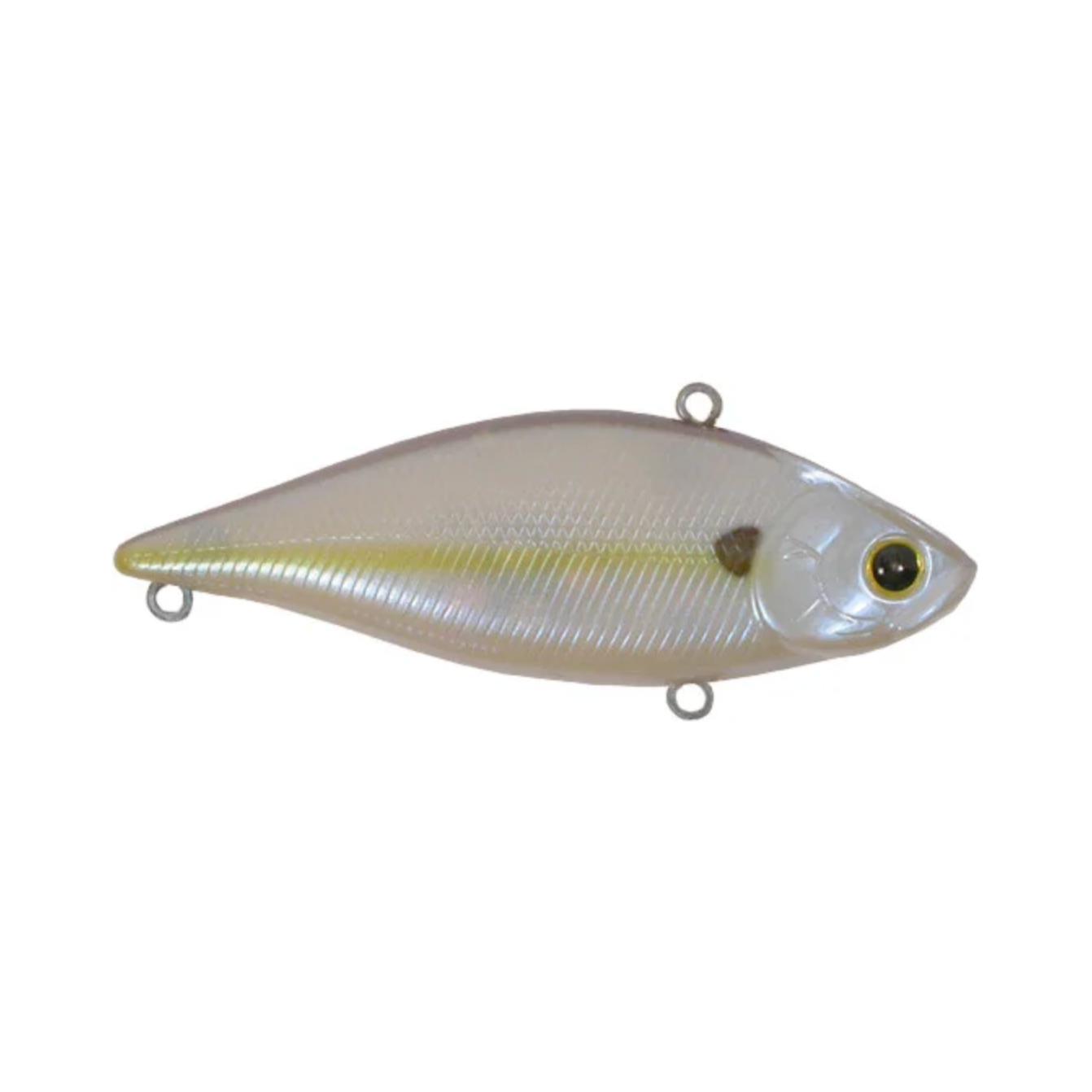 Chartreuse Shad