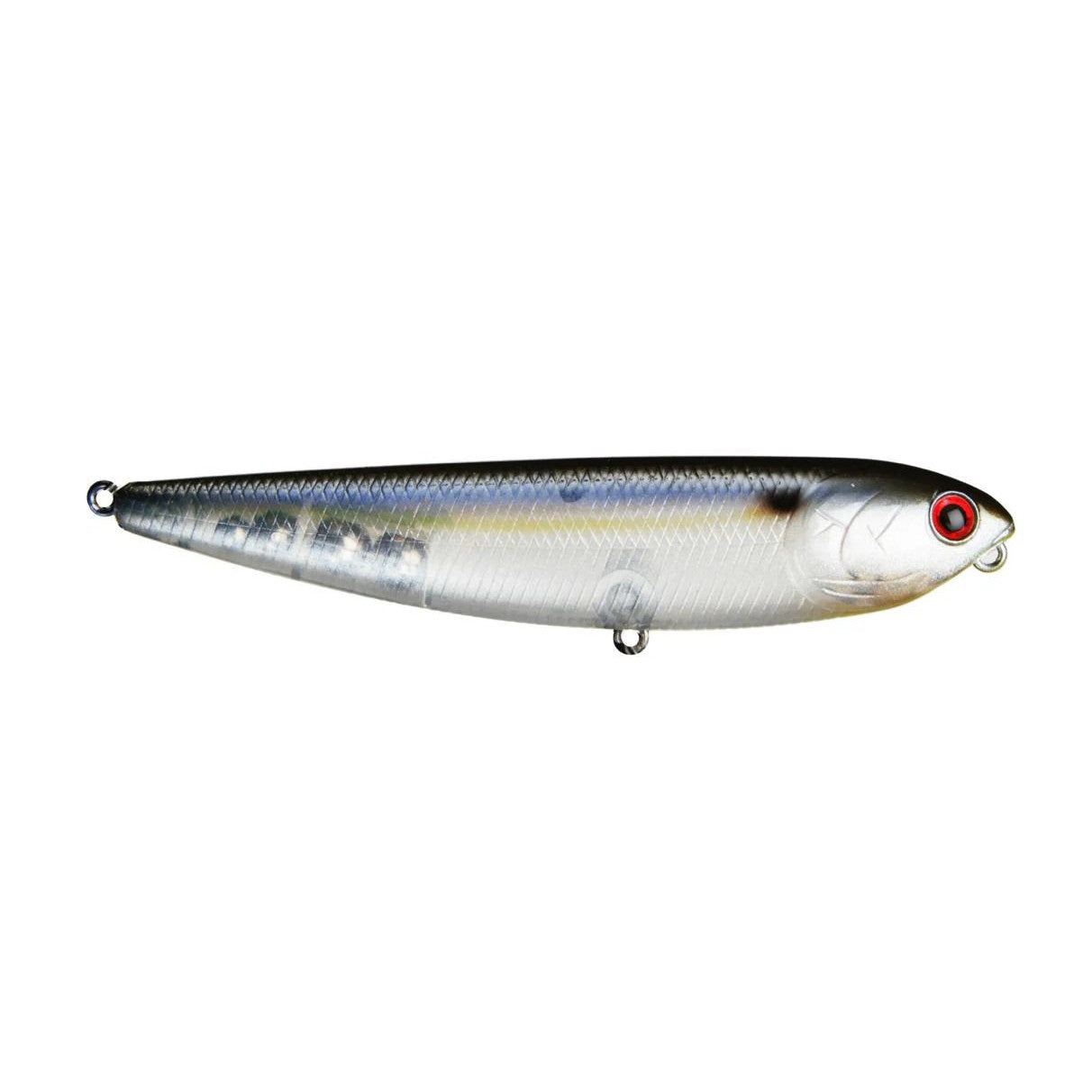 Ghost Threadfin Shad