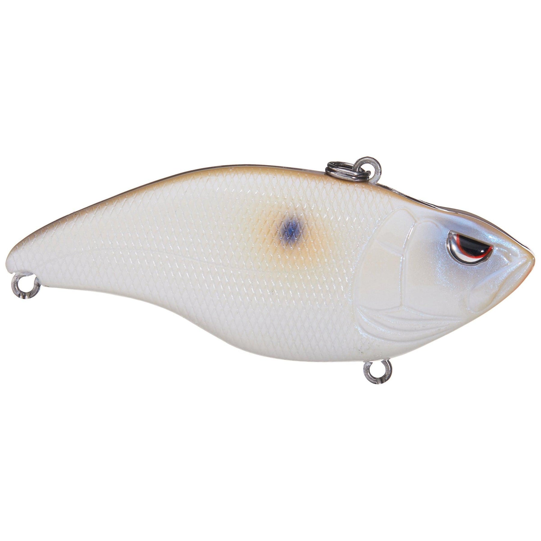 Pearl Shad