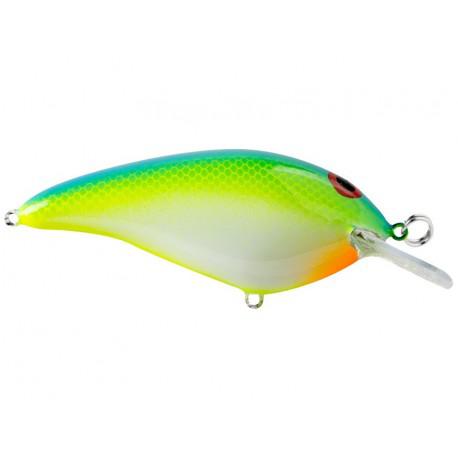 Tropical Shad