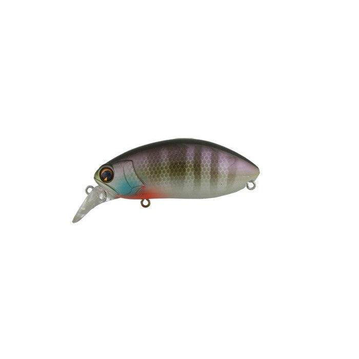 Bluegill