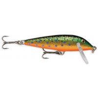 (CD-3) Brook Trout