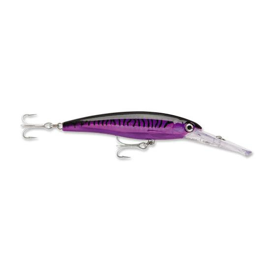 Purple Mackeral