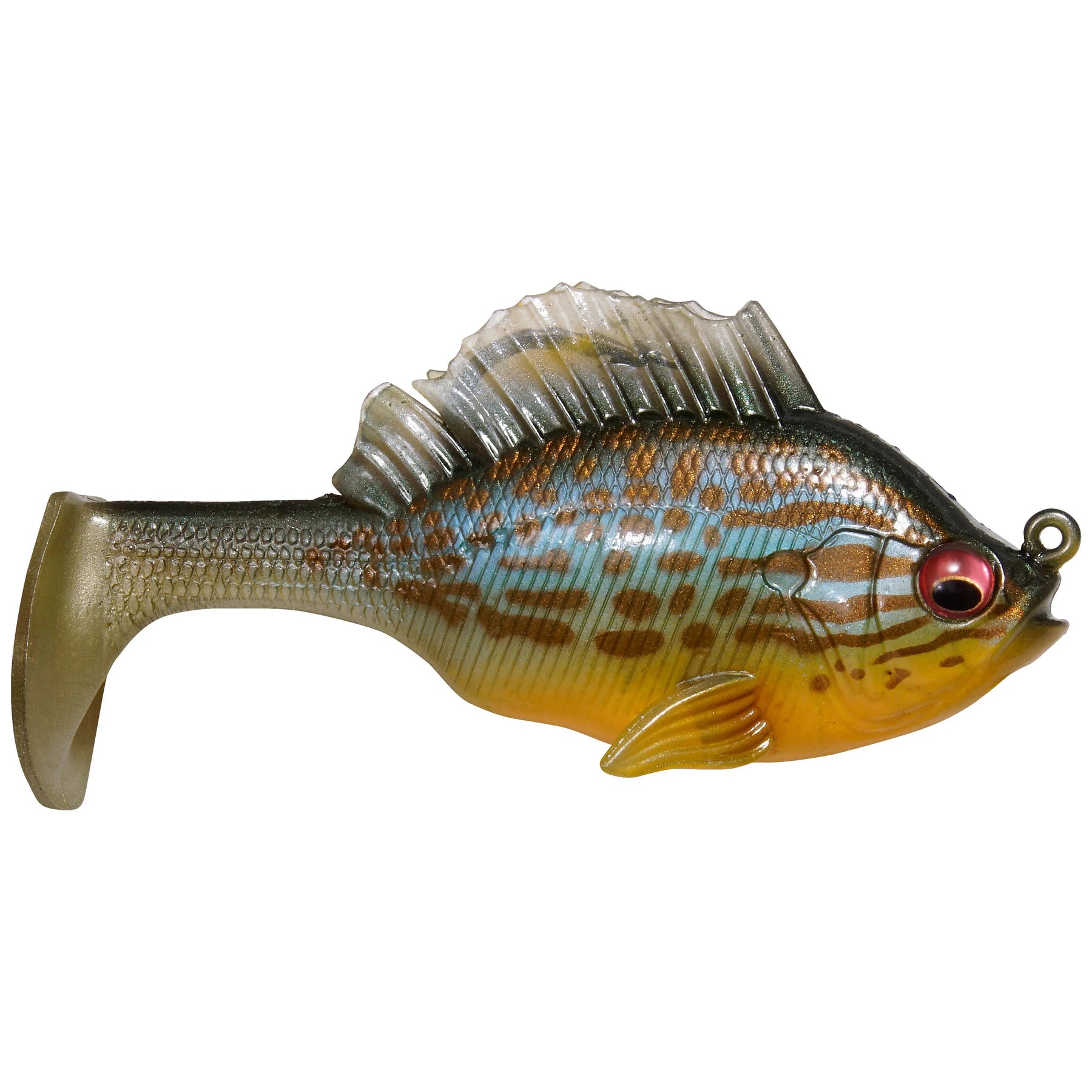 Pumpkinseed