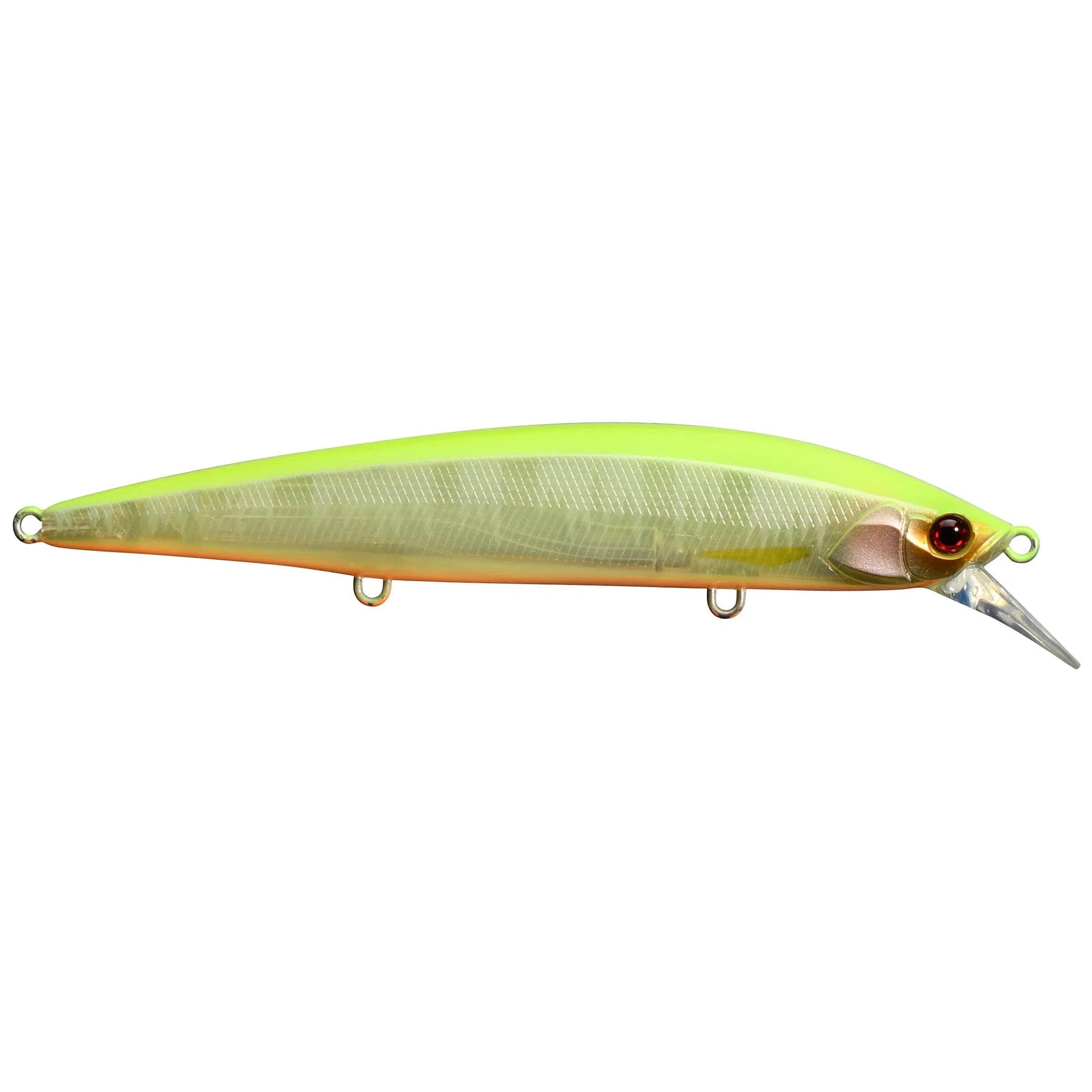 Chartruese Back Shad