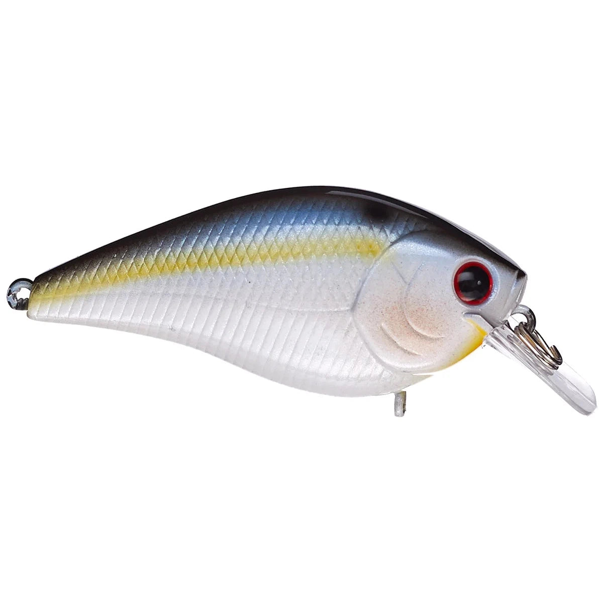Pearl Threadfin Shad