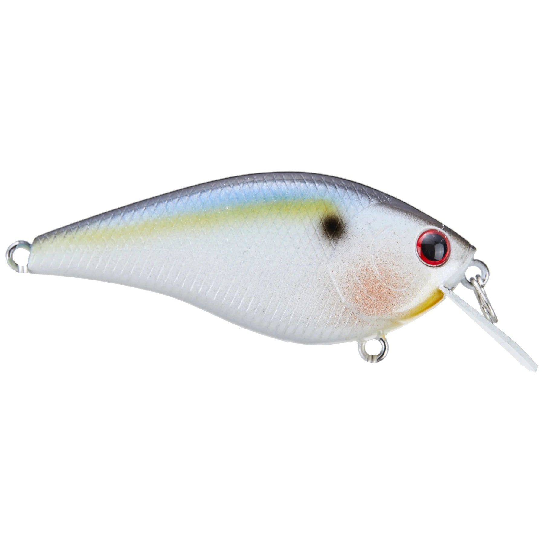 Pearl Threadfin Shad