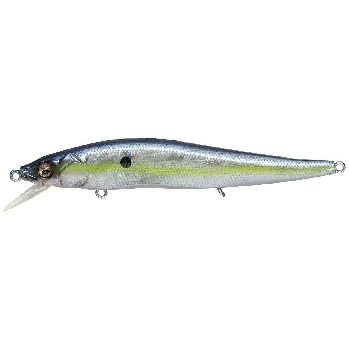 GP Sexy Shad