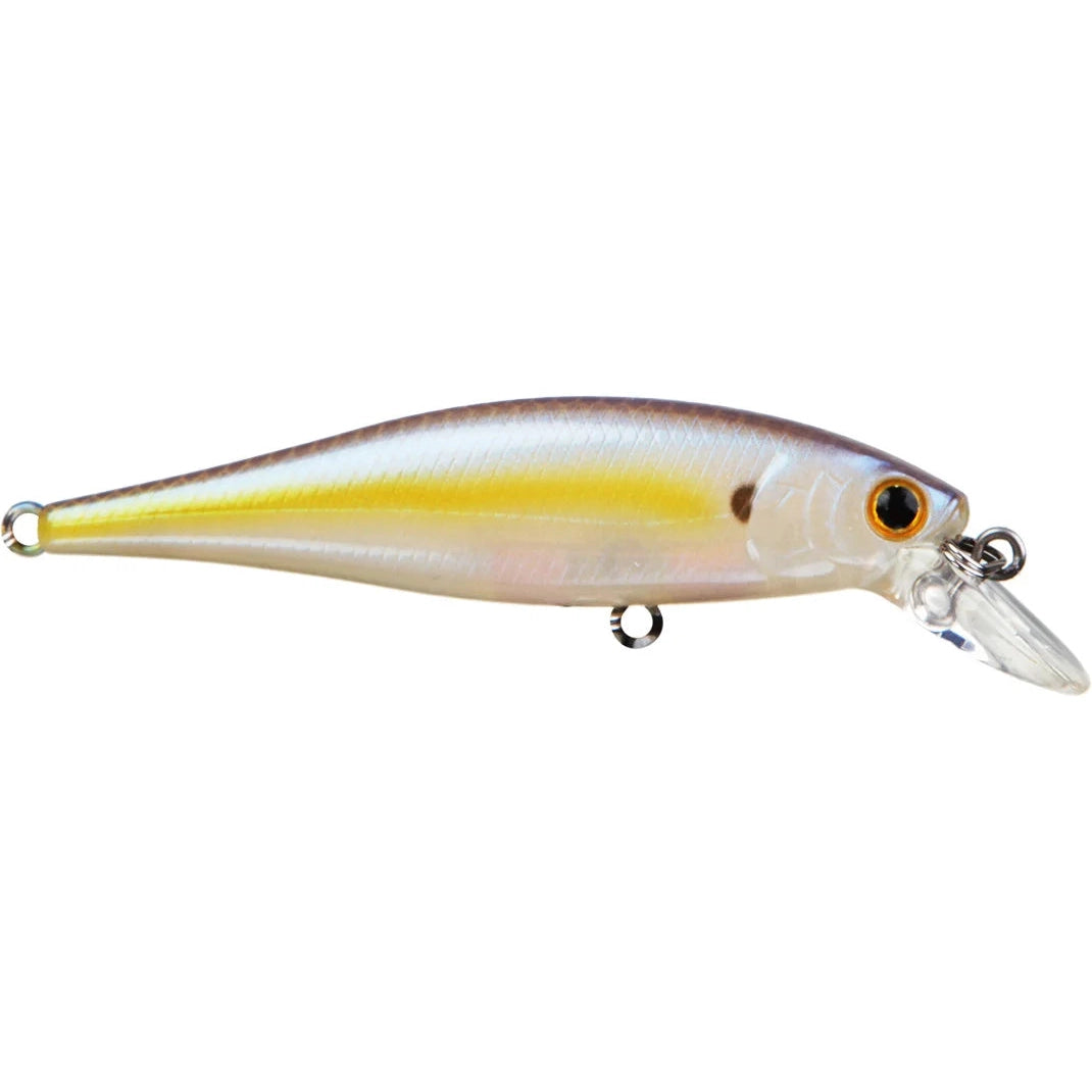 Chartreuse Shad