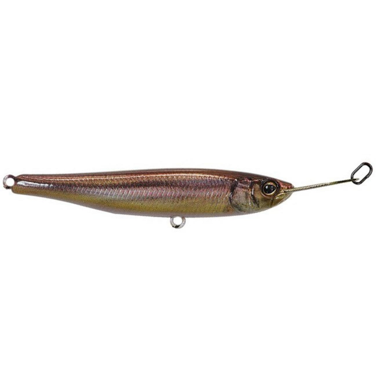 RT Minnow