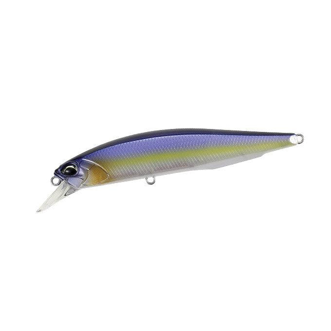 Threadfin Shad