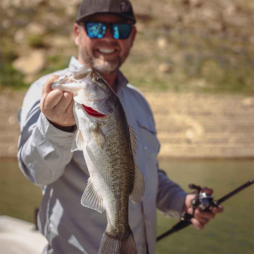 Bed Fishing : Three Baits you May Not Have Tried Before