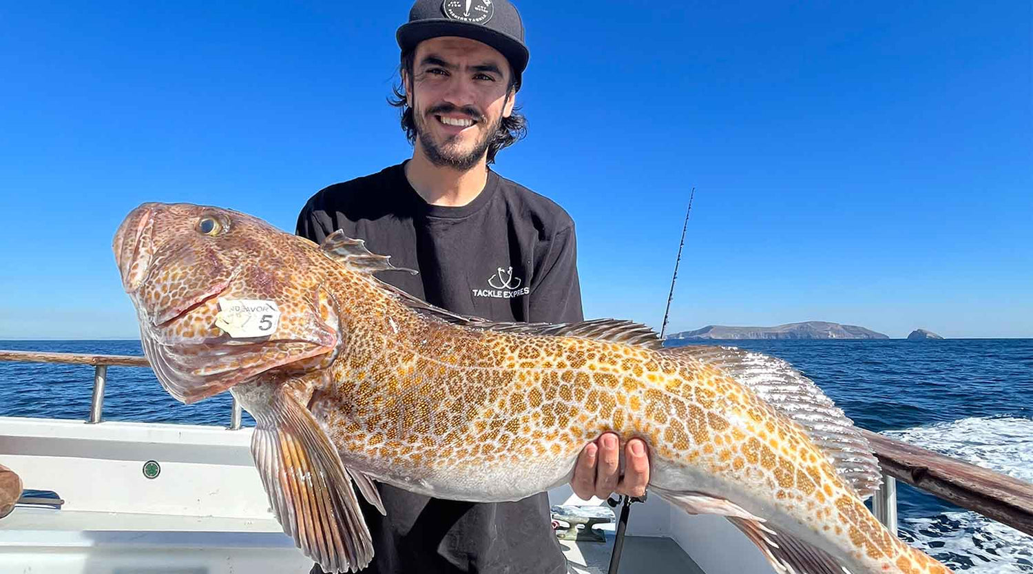 Rockfish Basics and Essentials for Southern California Anglers