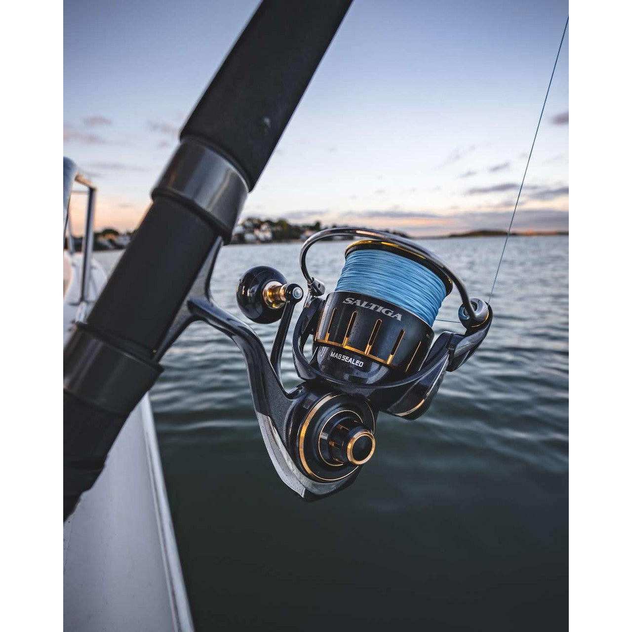Fishing Reels for All Anglers