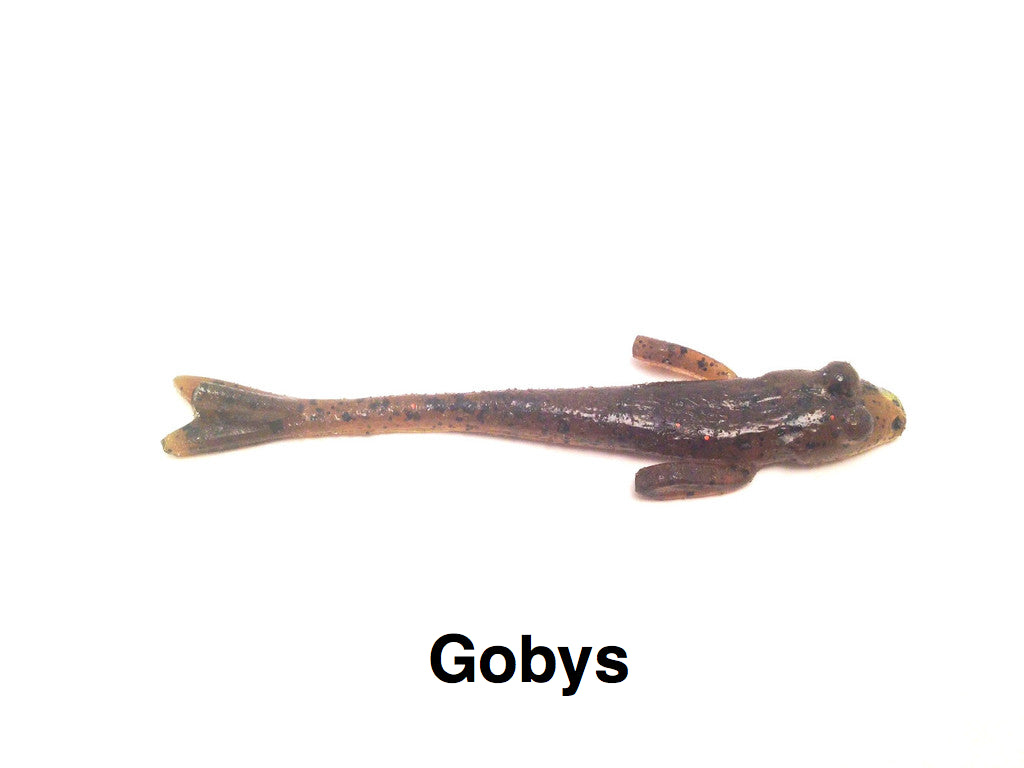 Gobys