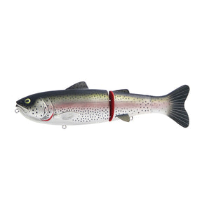 Hatchery Trout