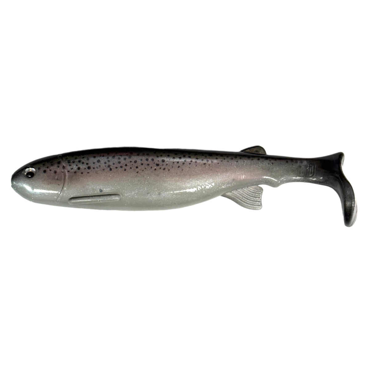 Paul Trout
