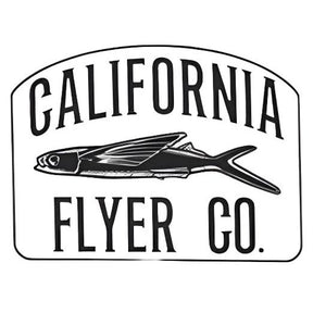 California Flyer Co. Delta Flyer 350