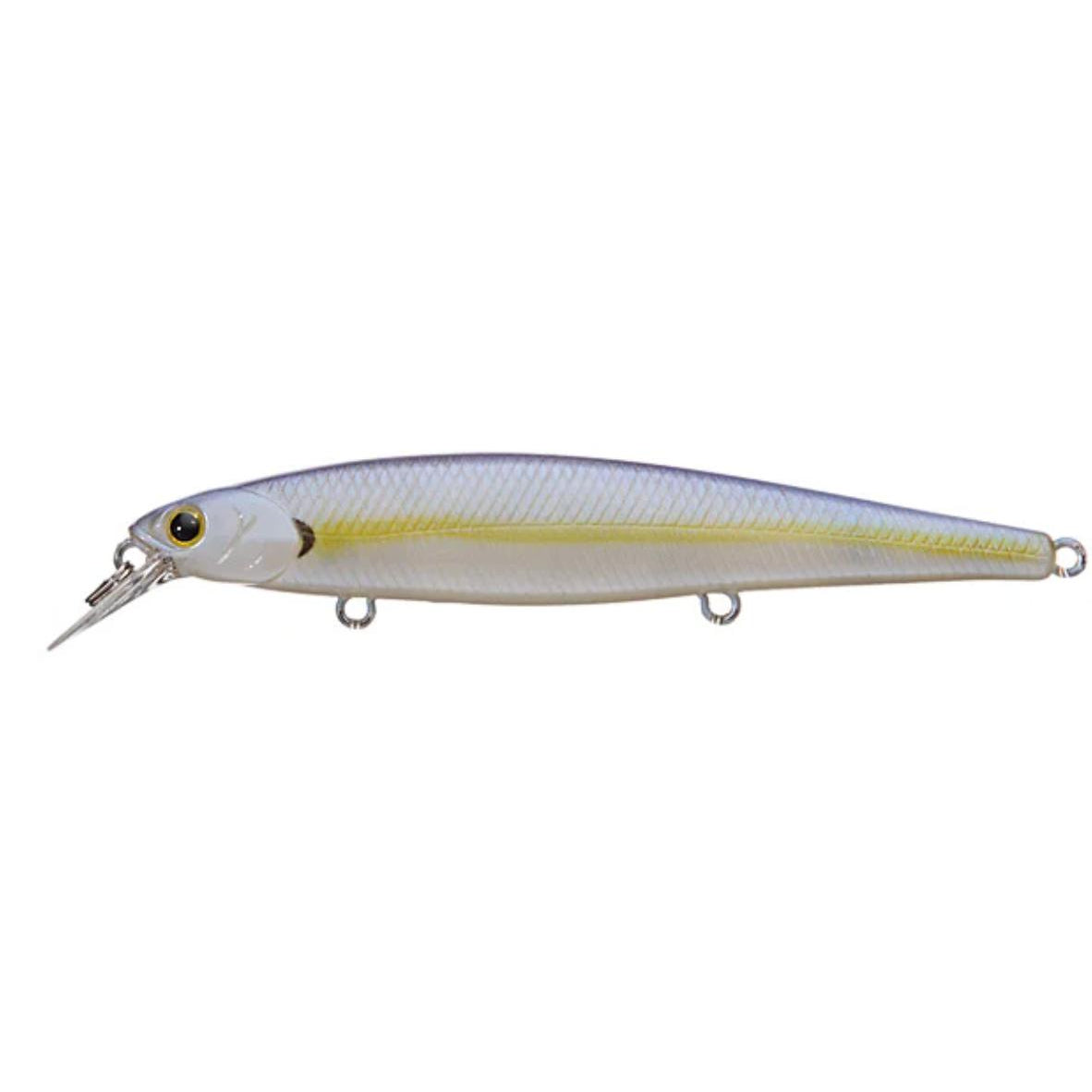 Chartreuse Shad