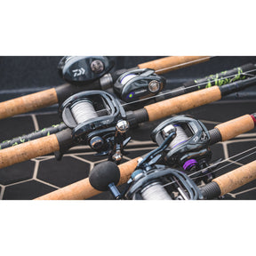 Daiwa Lexa 500 HD With Rods