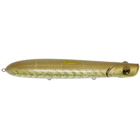 Sexy Minnow
