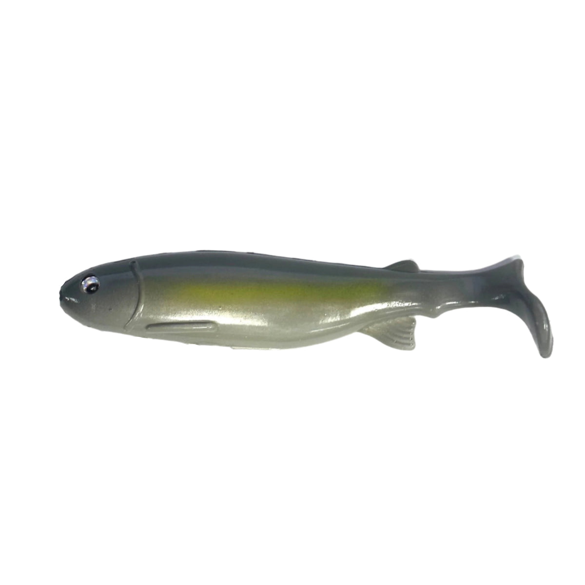 Sexy Shad