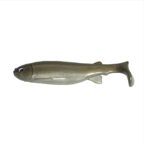 Golden Shiner 