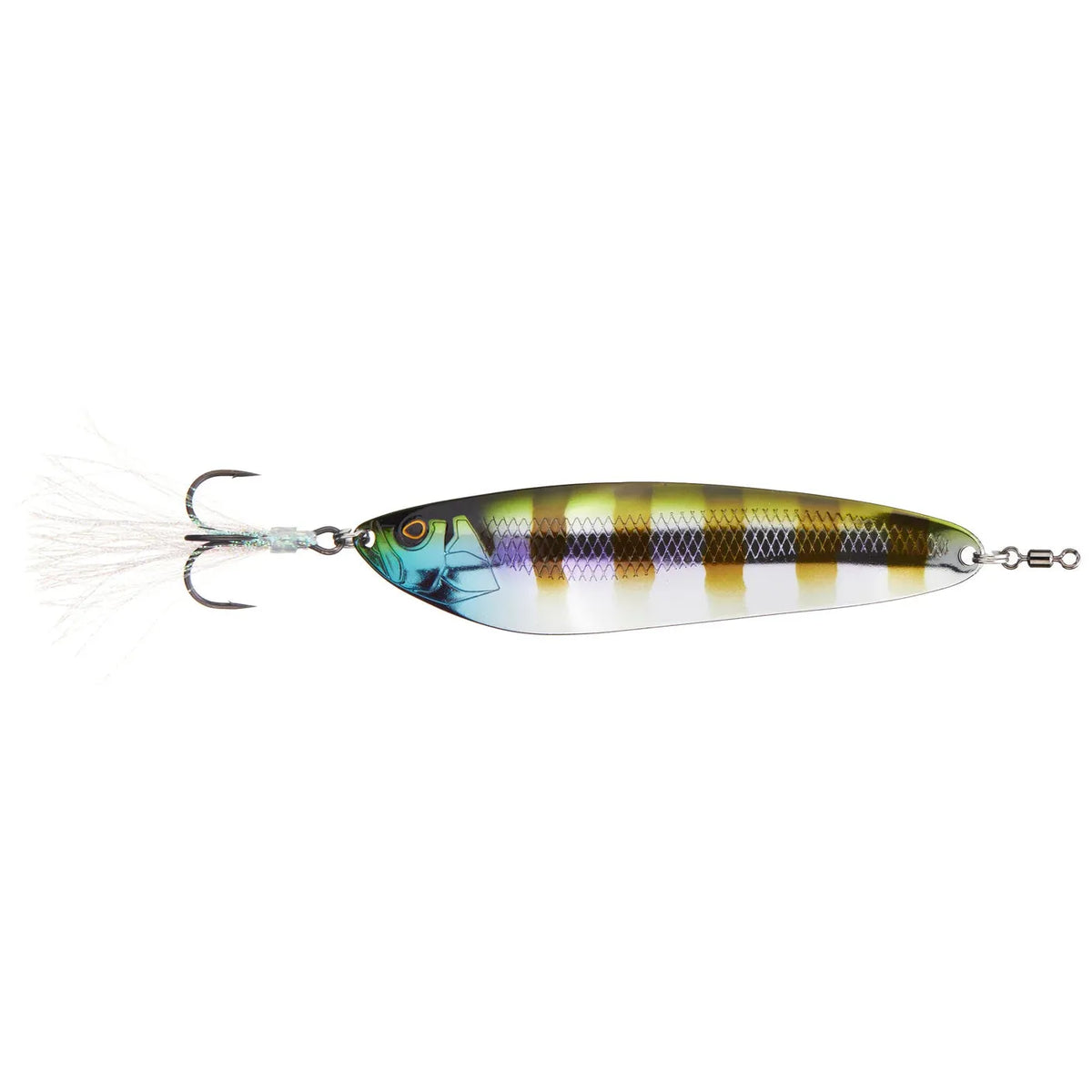 bluegill