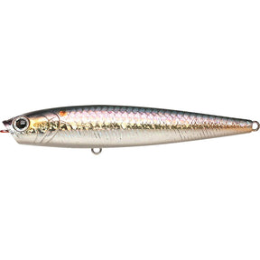 MS American Shad