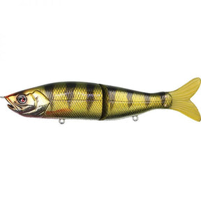 Yellow Perch