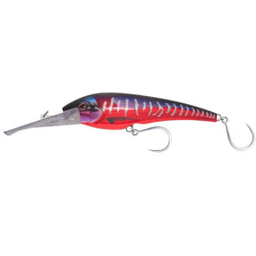 Hot Pink Mackerel 