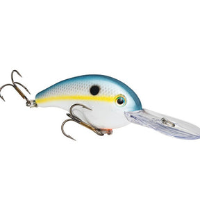 Sexy Shad