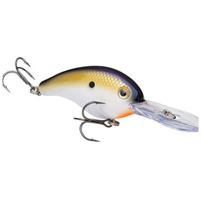 TN SHad 2.0