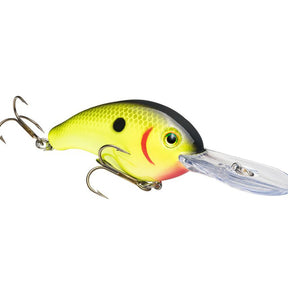 Chartreuse Black Back