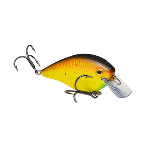 BlueGill