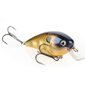 Bluegill