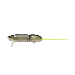 Evergreen Combat Rat
