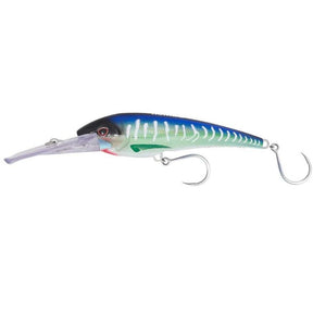 Spanish Mackerel