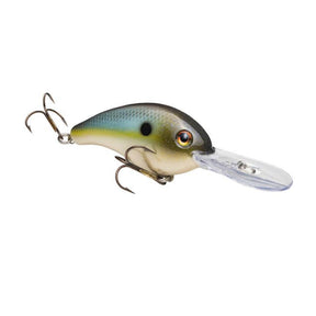 Summer Sexy Shad