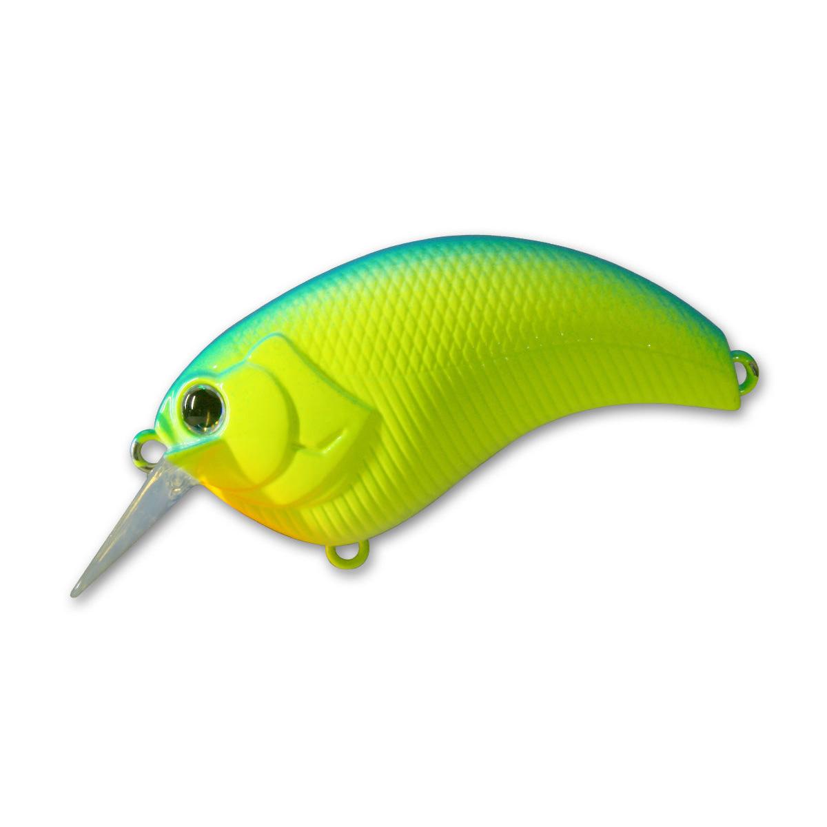 #02 Blue Back Chartreuse