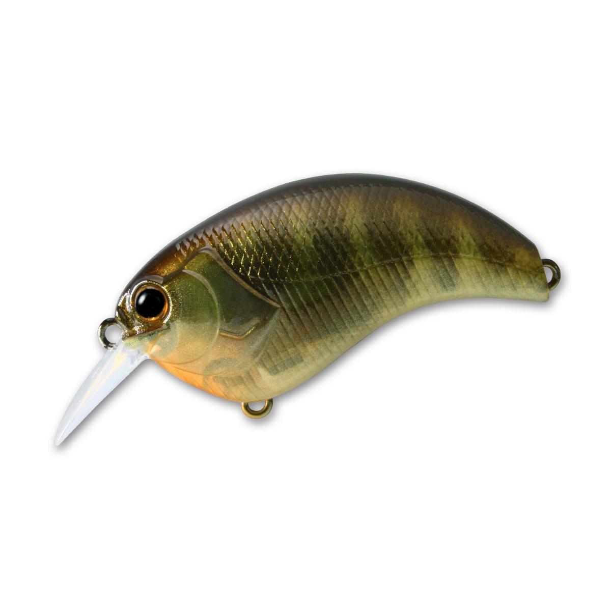 #03 Pond Gill