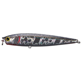 BP Golden Shiner
